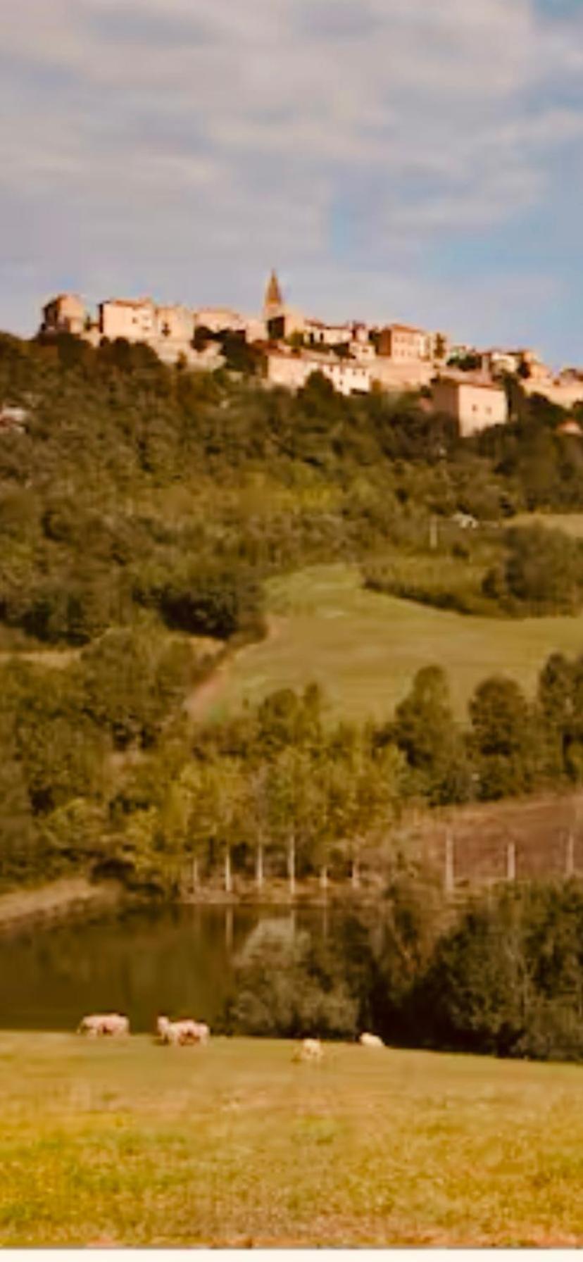 La Bastide De Marie Larroque (Tarn) Exterior foto
