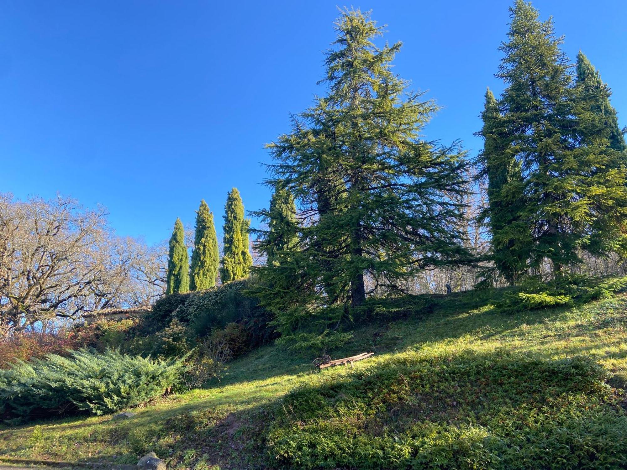 La Bastide De Marie Larroque (Tarn) Exterior foto